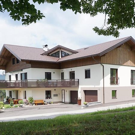 Ferienwohnung Hausleitner Zell am Moos Eksteriør bilde