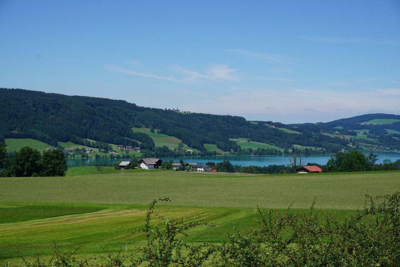 Ferienwohnung Hausleitner Zell am Moos Eksteriør bilde