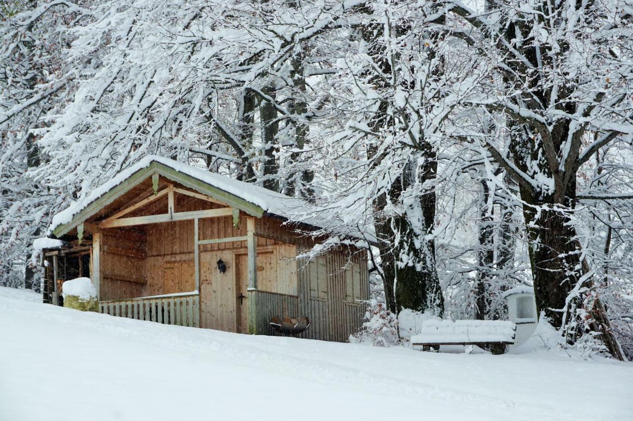 Ferienwohnung Hausleitner Zell am Moos Eksteriør bilde